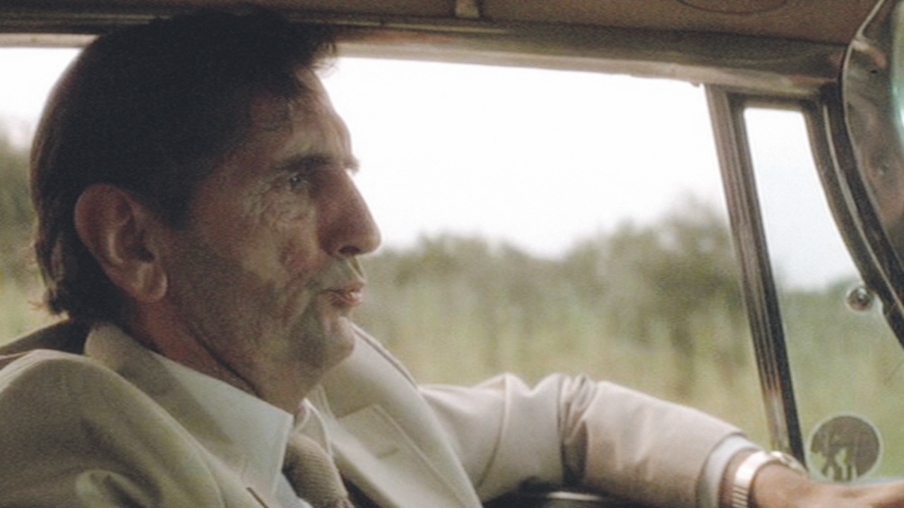 Wild at Heart
